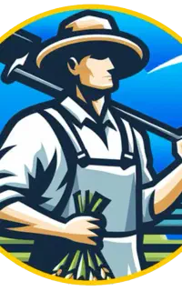 طراحی سایت فروشگاهی