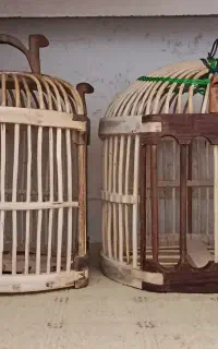 قفس کبک