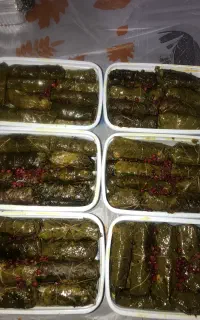 دلمه خانگی،حلوا ،شله زرد قابل سفارش است