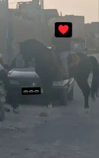 مشکی خان فروشی بها بالا