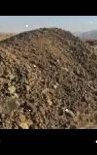 کود گوسفند فروشی