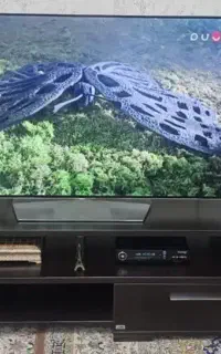 تلوزیون ال جی OLED ۵۵ اینچ و میز تلوزیون