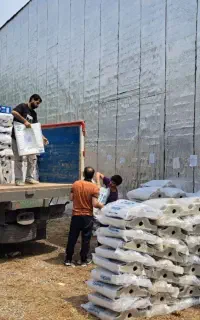 بازرگانی پارس رهام