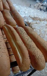 کارگر ساده