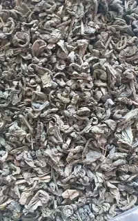 چای سبز درجه ۱