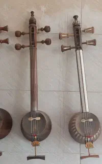 انواع کمانچه مبتدی تا حرفه ای