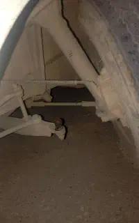 جلوبندی ماشین های ایرانی و خارجی