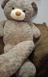 خرس بزرگ