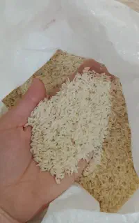 برنج هاشمی درجه یک