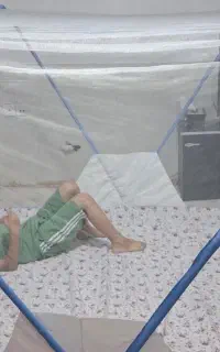 پشه بند