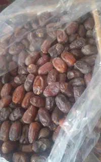 خرمای‌مضافتی‌وو