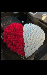 گل ربانی به قیمت عمده