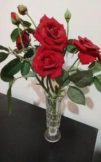 گل و گلدان ایتالیایی
