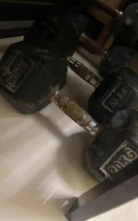 ۲ عدد دمبل