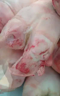کله پاچه. پاچه گاو. جگر