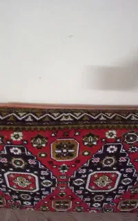 5عدد پشتی