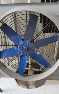 فن یک در یک