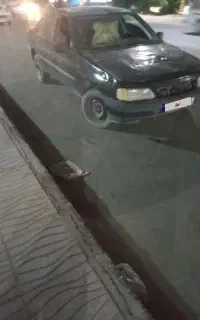 پژو مشکی