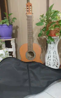 گیتار اموزشی