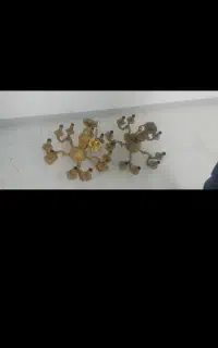 خریدو فروش انواع لوستر واینه وشمعدان