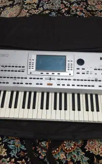 ارگpa80