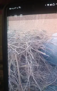 یک نیسان چوب