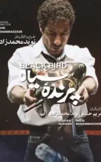 تئاتر پرنده سیاه / ردیف ۲ / پنجشنبه ۲۸ خرداد
