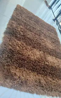 شگی