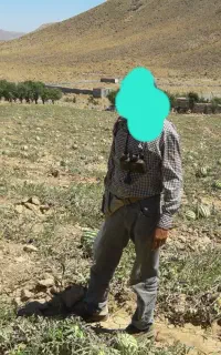 زمین باغ و کشاورزی مرغوب