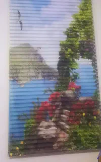 پرده زبرا