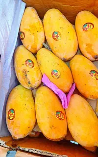 رونق کسب و کار در سروش کارت هدیه