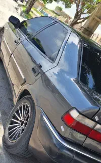 زانتیا درحد ۸۳