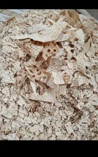 نون خشک