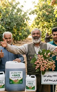 معجزه ای برای مغز پر کنی