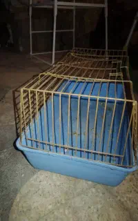 قفس سهره و قفس خرگوش