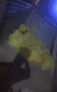 گچ زیر کار سمنان صالح