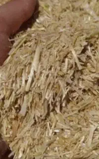کاه کمپانی