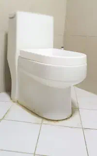 توالت فرنگی / درحدنو