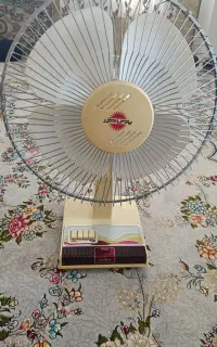 پنکه در حد