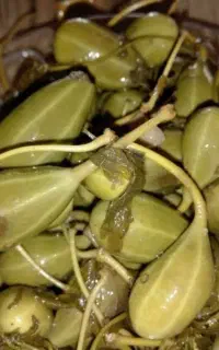 ترشی هندوانه ابوجهل