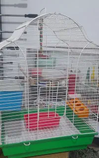 قفس پرنده