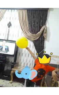 پرده پذیرایی