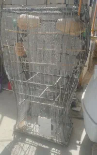 قفس پرنده(مرغ عشق)