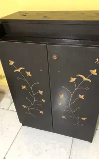 جاکفشی سالم