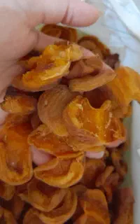 زردالو خشکه