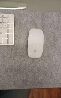 apple magic mouse 2