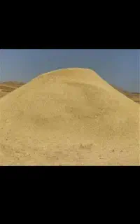 کاه نخود
