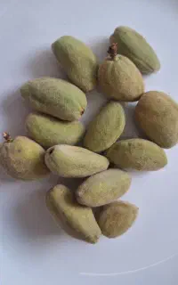 بادام شیرین پوست کاغذی