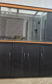آکواریوم شرکتی ماهیران