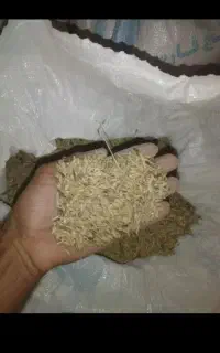 فروش جو محلی و کاه /نوار تیپ دست دوم